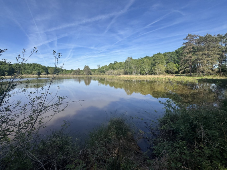 vente Etang Prissac - Photo 7
