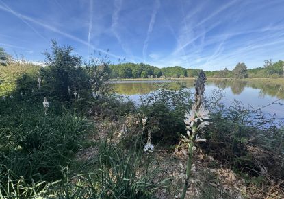 vente Etang Prissac
