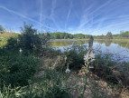 vente Etang Prissac