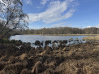 vente Etang Prissac