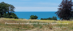 vente Appartement Donville Les Bains