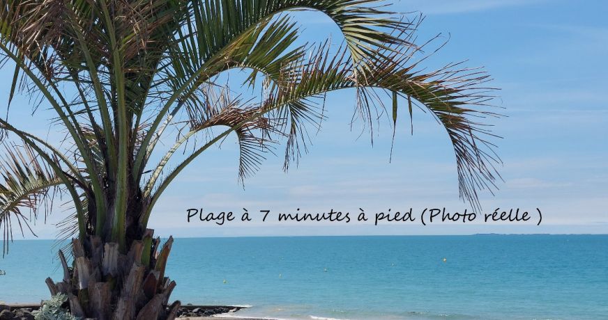 vente Appartement Donville Les Bains