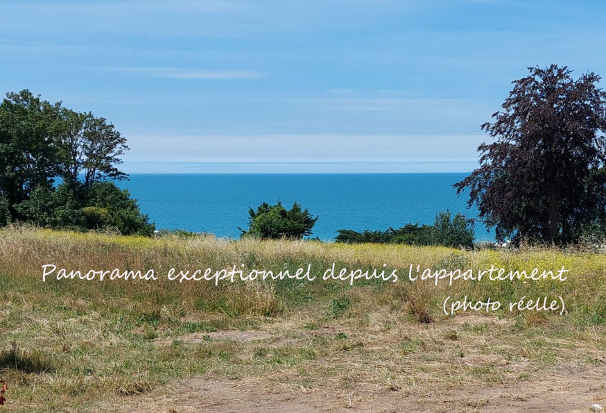 vente Appartement Donville Les Bains - Photo 5