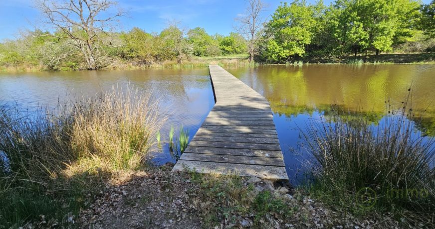 vente Terrain de loisir Migne