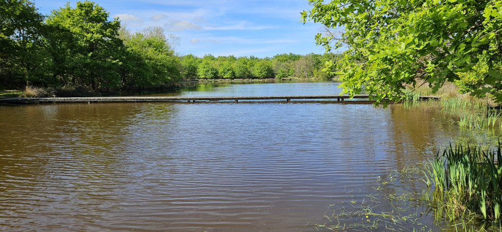 vente Terrain de loisir Migne - Photo 8