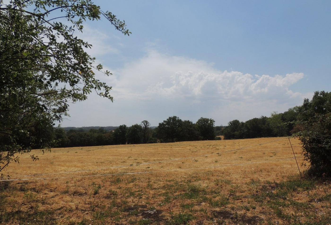 vente Maison Malicornay - Photo 4