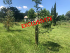 vente Maison Orgon