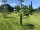 vente Maison Orgon