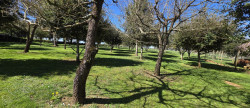 vente Maison Cellefrouin