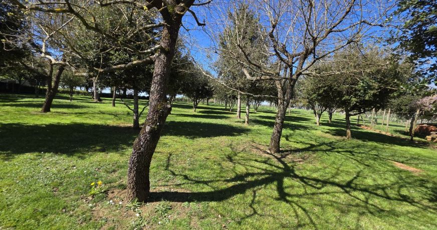 vente Maison Cellefrouin