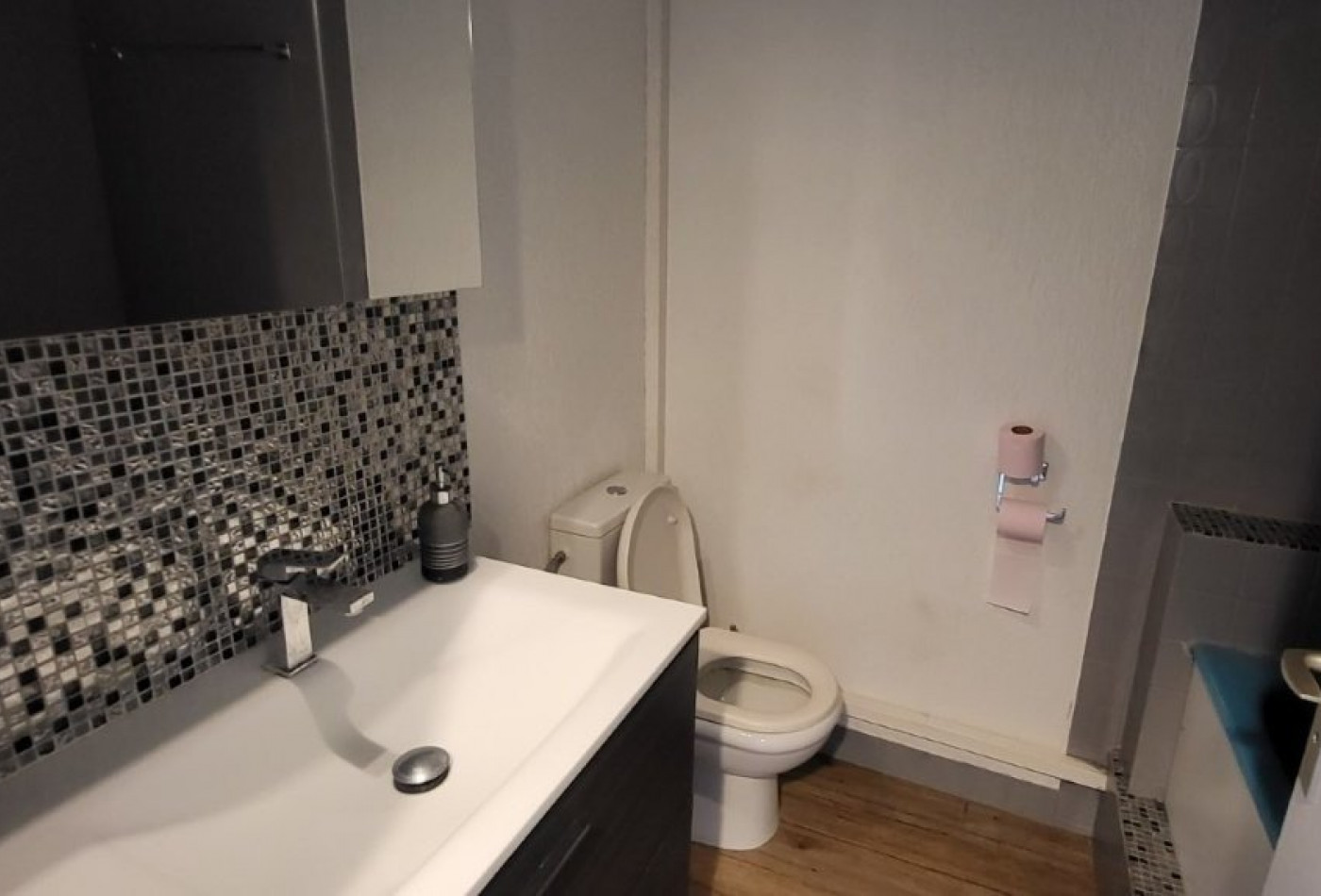 vente Appartement Villeneuve Loubet - Photo 5