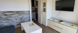 vente Appartement Villeneuve Loubet