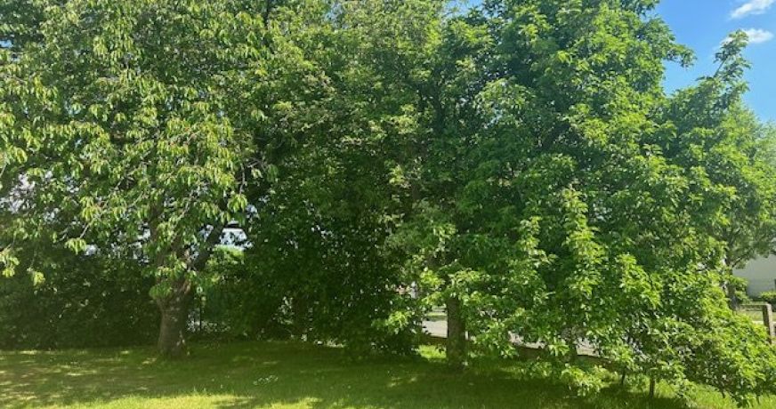 vente Pavillon Remalard En Perche