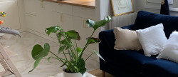vente Appartement Bry Sur Marne