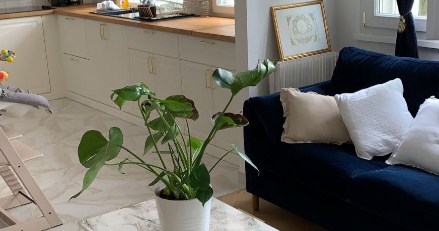 vente Appartement Bry Sur Marne