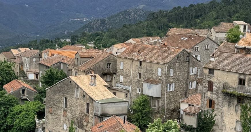 vente Appartement Venaco