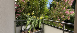 vente Appartement Villeurbanne