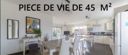 vente Maison individuelle Nesmy