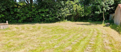vente Maison individuelle Nesmy