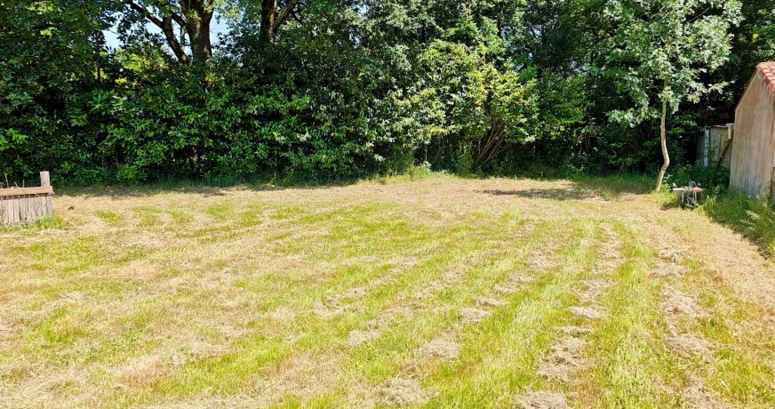 vente Maison individuelle Nesmy
