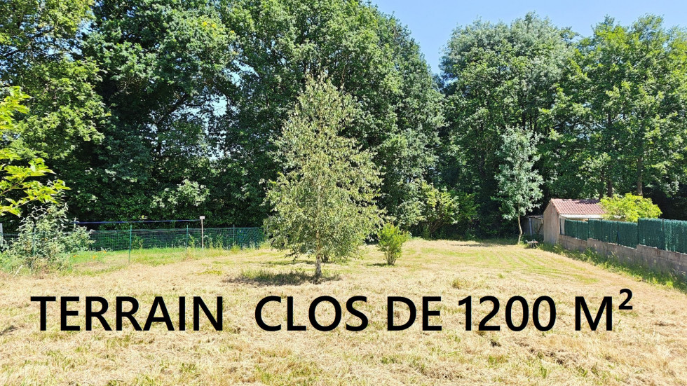 vente Maison individuelle Nesmy - Photo 5