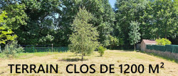 vente Maison individuelle Nesmy