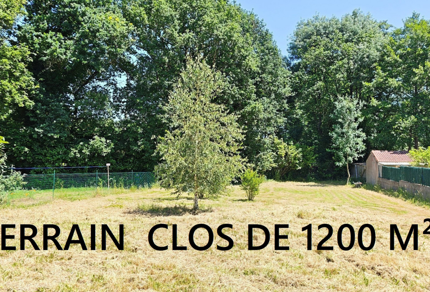 vente Maison individuelle Nesmy - Photo 5
