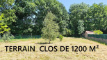 vente Maison individuelle Nesmy