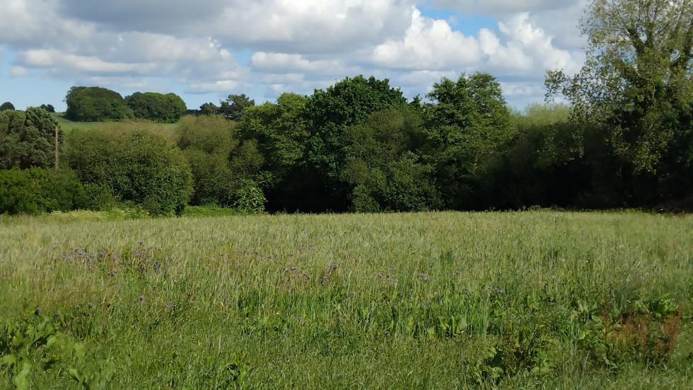 vente Fermette Plouec Du Trieux - Photo 9