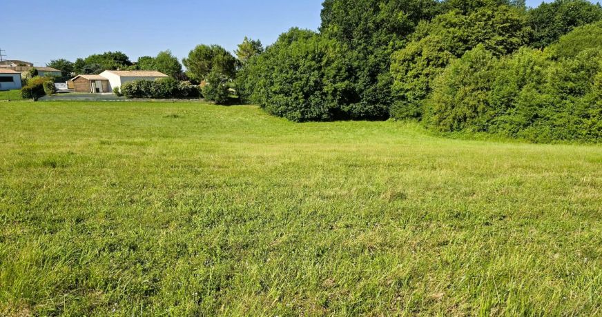 vente Terrain Saintes