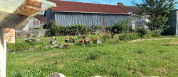 vente Maison Pouligny Saint Pierre
