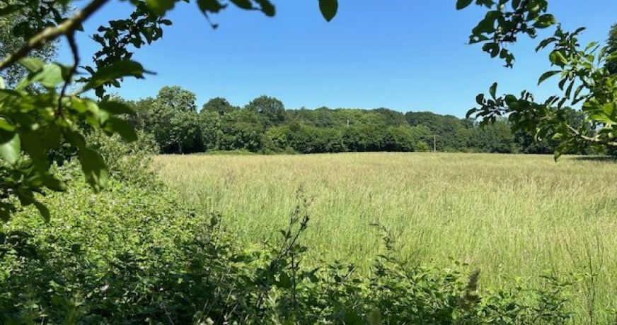 vente Maison de campagne La Bazoche Gouet