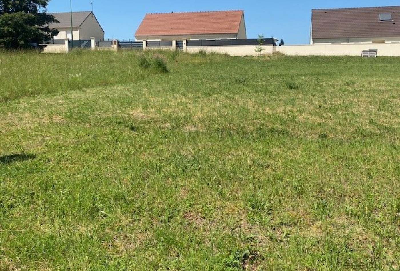 vente Terrain Soucy - Photo 6