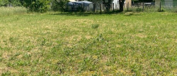 vente Terrain Soucy