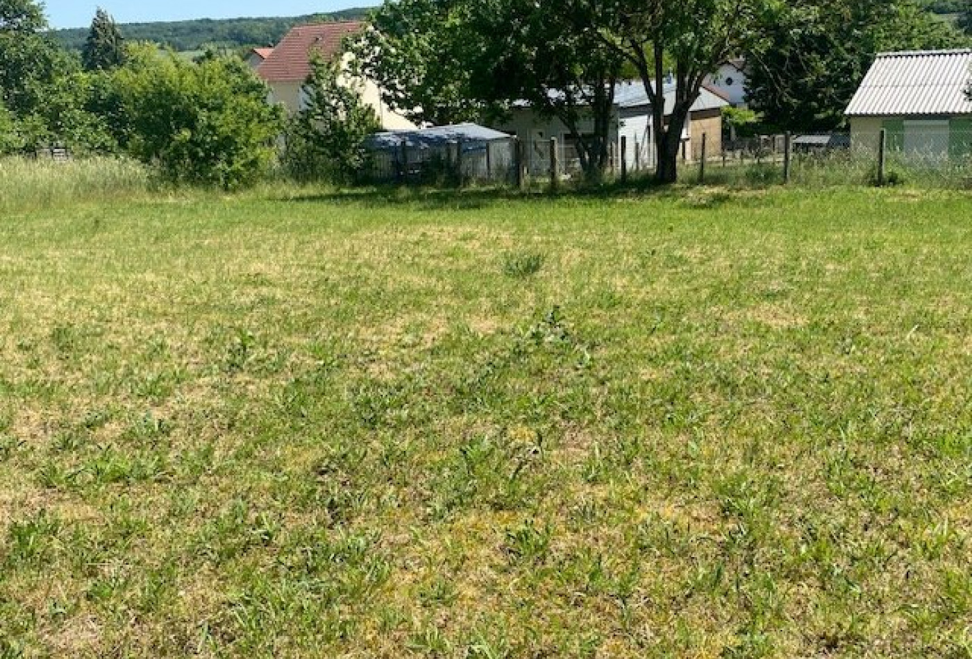 vente Terrain Soucy - Photo 2