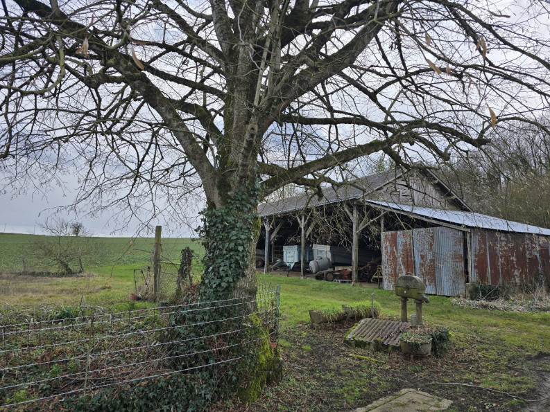 vente Maison Saint Pierre De Cheville - Photo 4