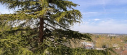 vente Appartement Bougival