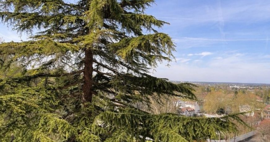 vente Appartement Bougival