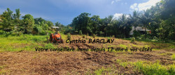 vente Terrain Ducos