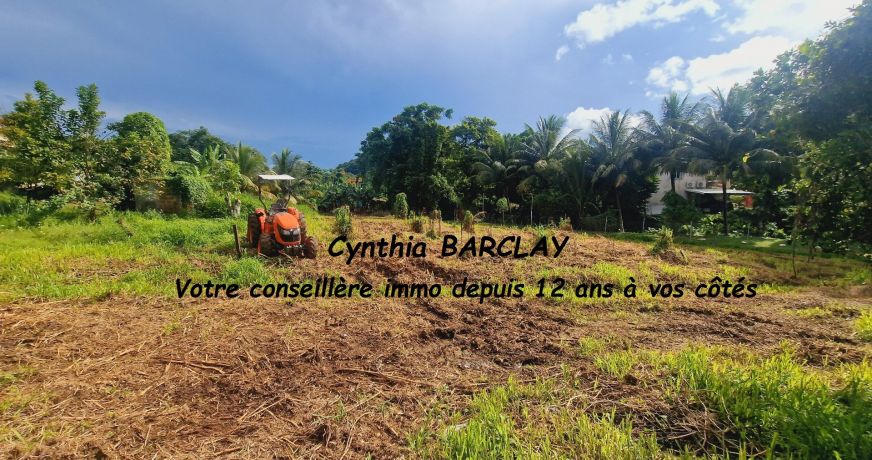 vente Terrain Ducos