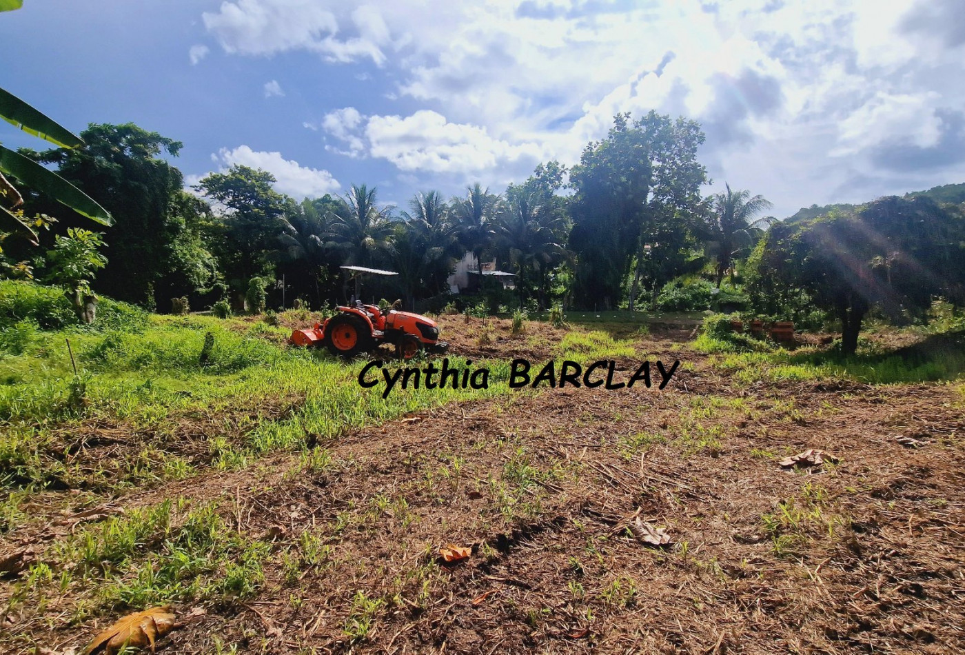 vente Terrain Ducos - Photo 2