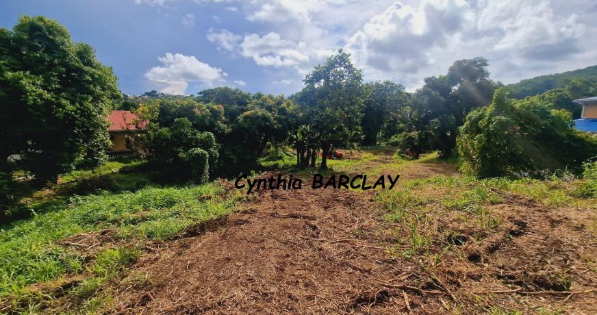 vente Terrain Ducos