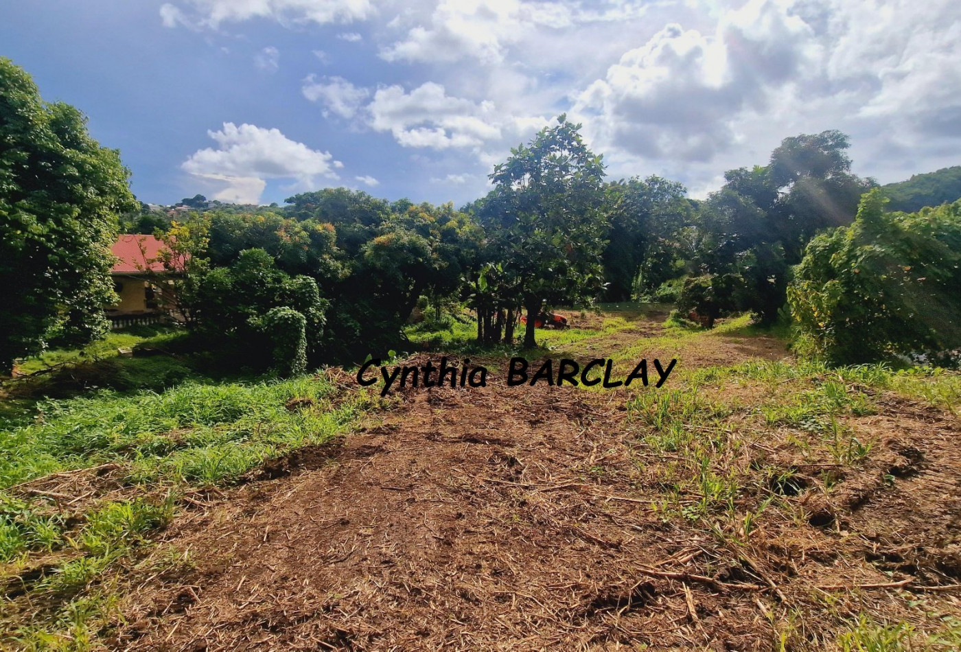 vente Terrain Ducos - Photo 3