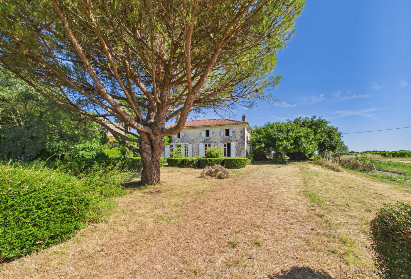 vente Maison Saint-thomas-de-conac - Photo 1