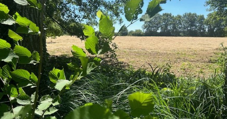 vente Maison Vibraye