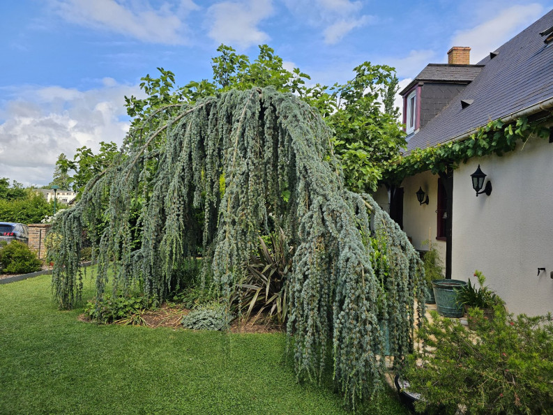 vente Maison Bourgtheroulde Infreville - Photo 10