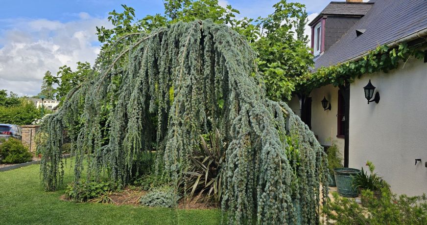 vente Maison Bourgtheroulde Infreville