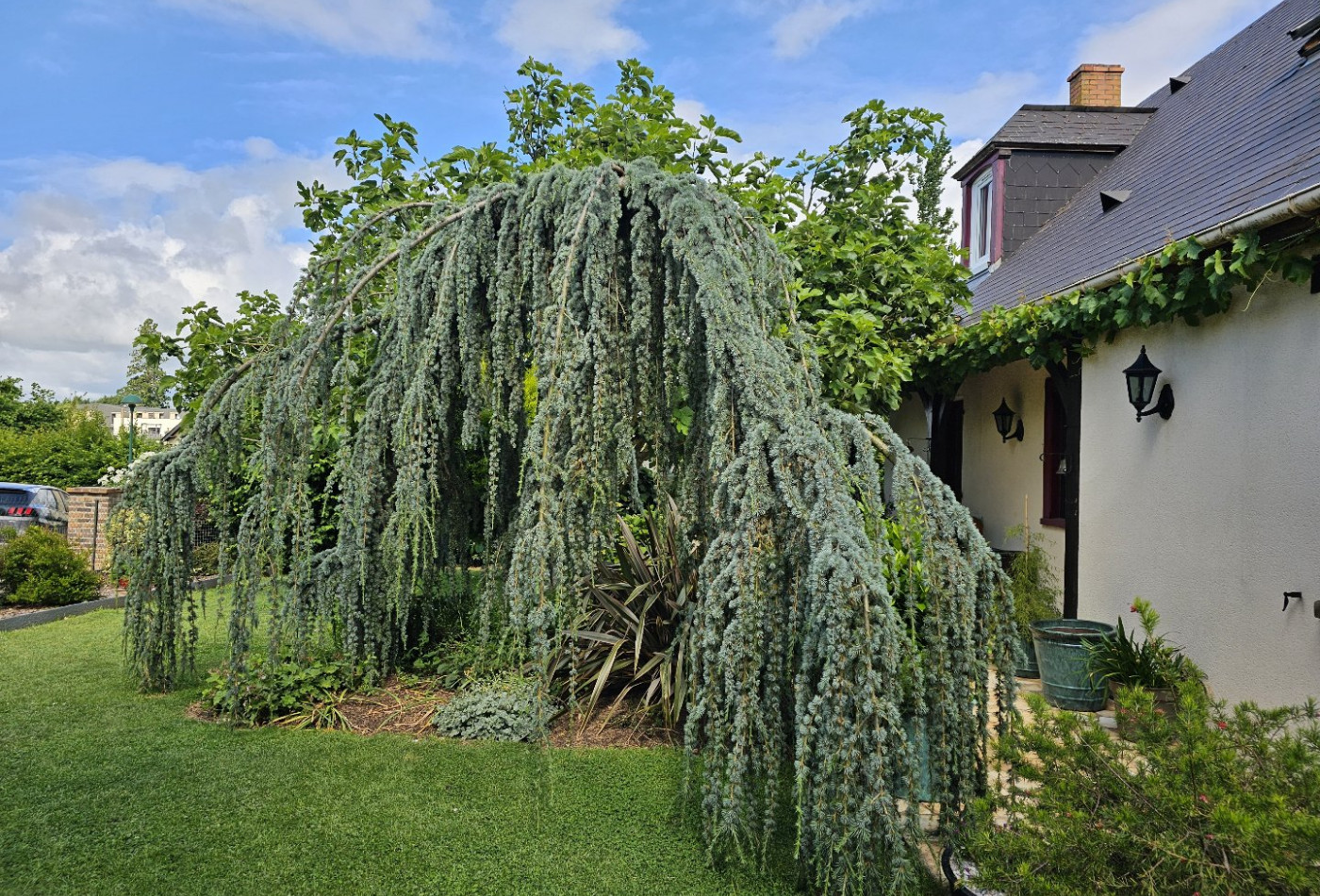 vente Maison Bourgtheroulde Infreville - Photo 10