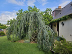 vente Maison Bourgtheroulde Infreville