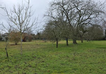 vente Terrain Ardentes